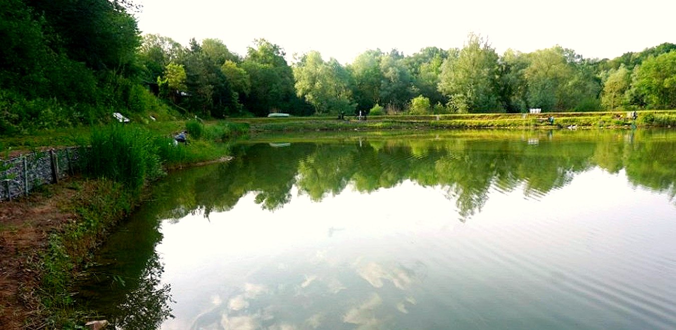 Vereins-See in Großostheim